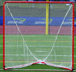 Brine Collegiate Field Lacrosse Nets